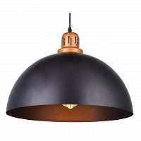 подвесной светильник arte lamp eurica a4249sp-1bk в Ижевске