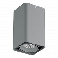 потолочный светодиодный светильник lightstar monocco 052139r в Ижевске