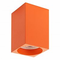 потолочный светильник denkirs dk2009-or в Ижевске