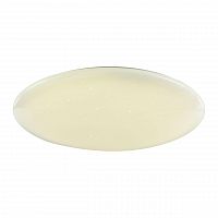 потолочный светодиодный светильник f-promo luna 2319-10c в Ижевске