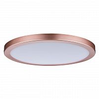 потолочный светодиодный светильник paulmann atria 70872 в Ижевске