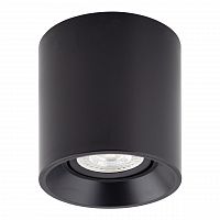 потолочный светильник denkirs dk3040-bk в Ижевске