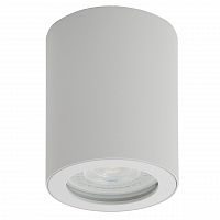 потолочный светильник denkirs dk3007-wh в Ижевске