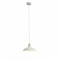подвесной светильник st luce pietanza sl323.503.01 в Ижевске