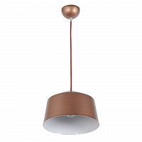 подвесной светильник arti lampadari tempo e 1.3.p1 br в Ижевске