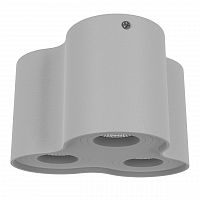 потолочный светильник lightstar binoco 052039 в Ижевске