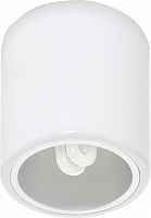 потолочный светильник nowodvorski downlight 4865 в Ижевске