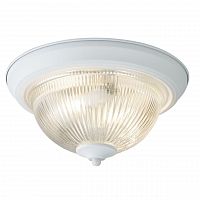 потолочный светильник arte lamp aqua a9370pl-2wh в Ижевске