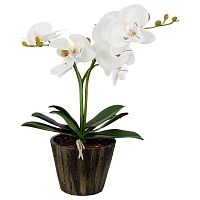 настольная лампа globo flowerpower 28002 в Ижевске