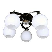 потолочная люстра omnilux caldiero oml-25407-05 в Ижевске