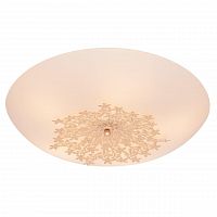 потолочный светильник silver light verbena 835.50.5 в Ижевске