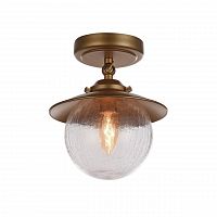 потолочный светильник favourite farola 2027-1u в Ижевске