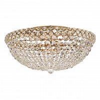 потолочный светильник arti lampadari asti e 1.2.50.100 g в Ижевске