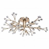 потолочная люстра mw-light адриатика 280011810 в Ижевске