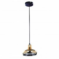 подвесной светильник spot light fiji 9704112 в Ижевске