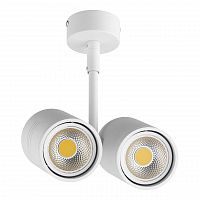 потолочный светильник lightstar rullo 214446 в Ижевске