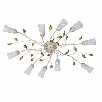 потолочная люстра mw-light восторг 242015510 в Ижевске