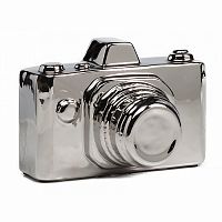 предмет декора camera серебряная в Ижевске