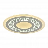 потолочный светодиодный светильник f-promo ledolution 2273-8c в Ижевске