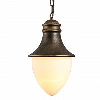 уличный подвесной светильник arte lamp vienna a1317so-1bn в Ижевске