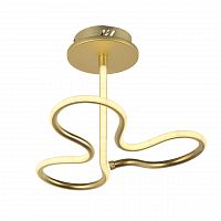 потолочный светодиодный светильник arti lampadari angelo l 1.2.35.03 g в Ижевске