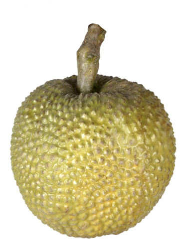 декор durian в Ижевске