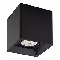потолочный светильник denkirs dk3030-bk в Ижевске