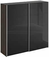 шкаф-купе slide 1700 черный в Ижевске