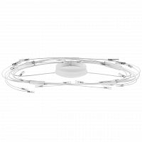 потолочный светильник lightstar ovale 784246 в Ижевске