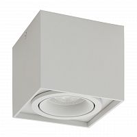 потолочный светильник denkirs dk2003-wh в Ижевске