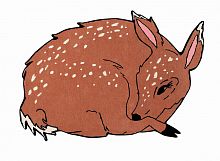 ковер шерстяной олененок the deer в Ижевске