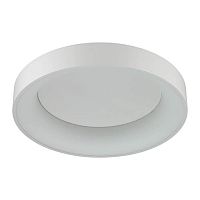 потолочный светодиодный светильник odeon light sole 4062/50cl в Ижевске