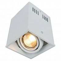 потолочный светильник arte lamp cardani a5942pl-1wh в Ижевске