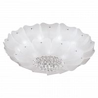 потолочный светильник lightstar lobo 804070 в Ижевске